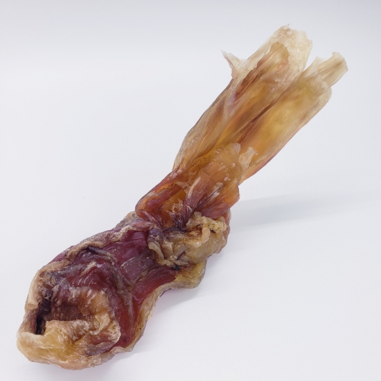 beef tendon for dogs - beef tendon nutrition